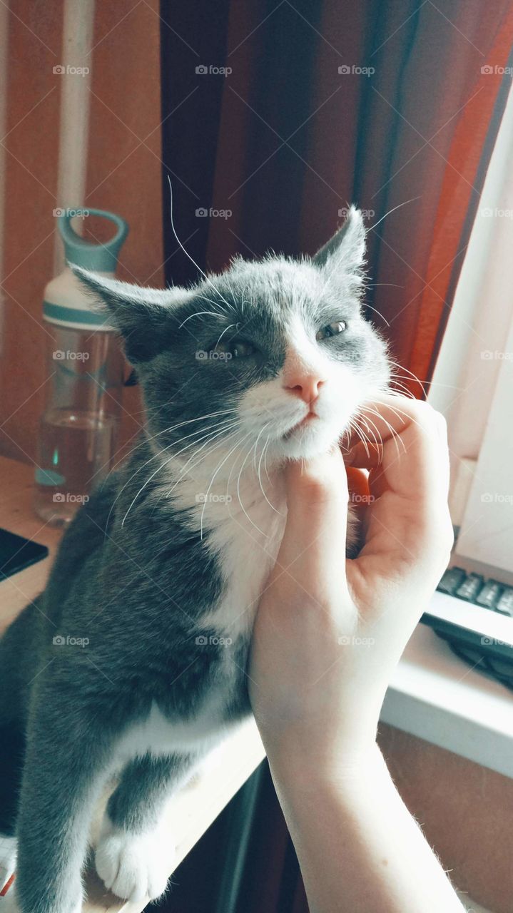 Scratch me, all the time please