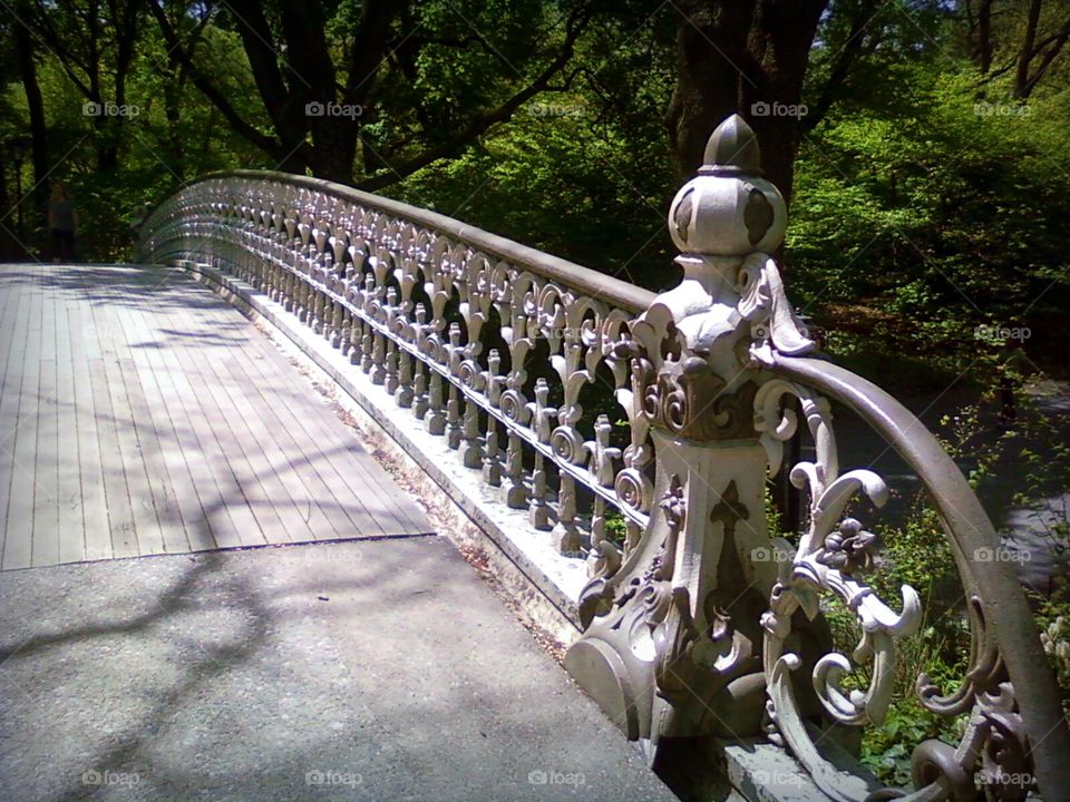 wood bridge in Central Park, New York City