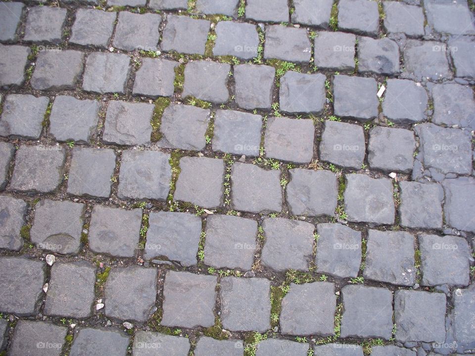 1905 Cobble Stone Street