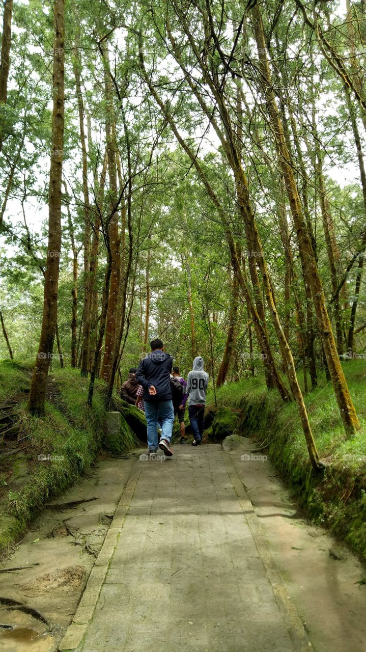 the seekers of tranquility