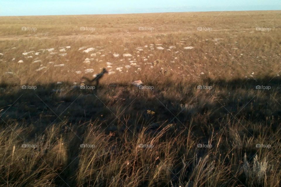 view from the ground shadows person in the steppe abstract background