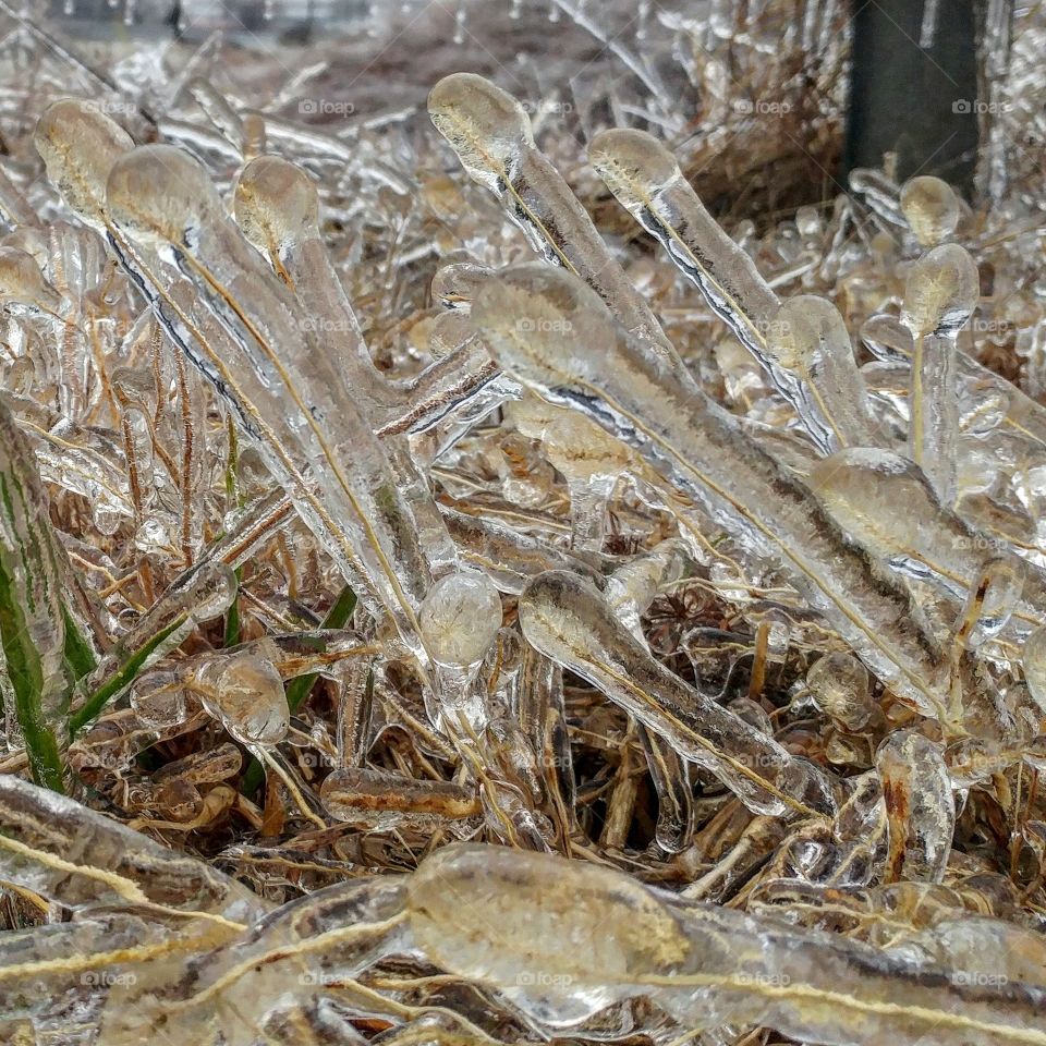 Jan 2017: A winter storm brought 3/4 inch of Ice from freezing rain in Farmington Missouri.