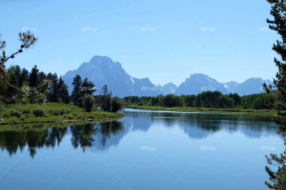 Trees reflecting on the river