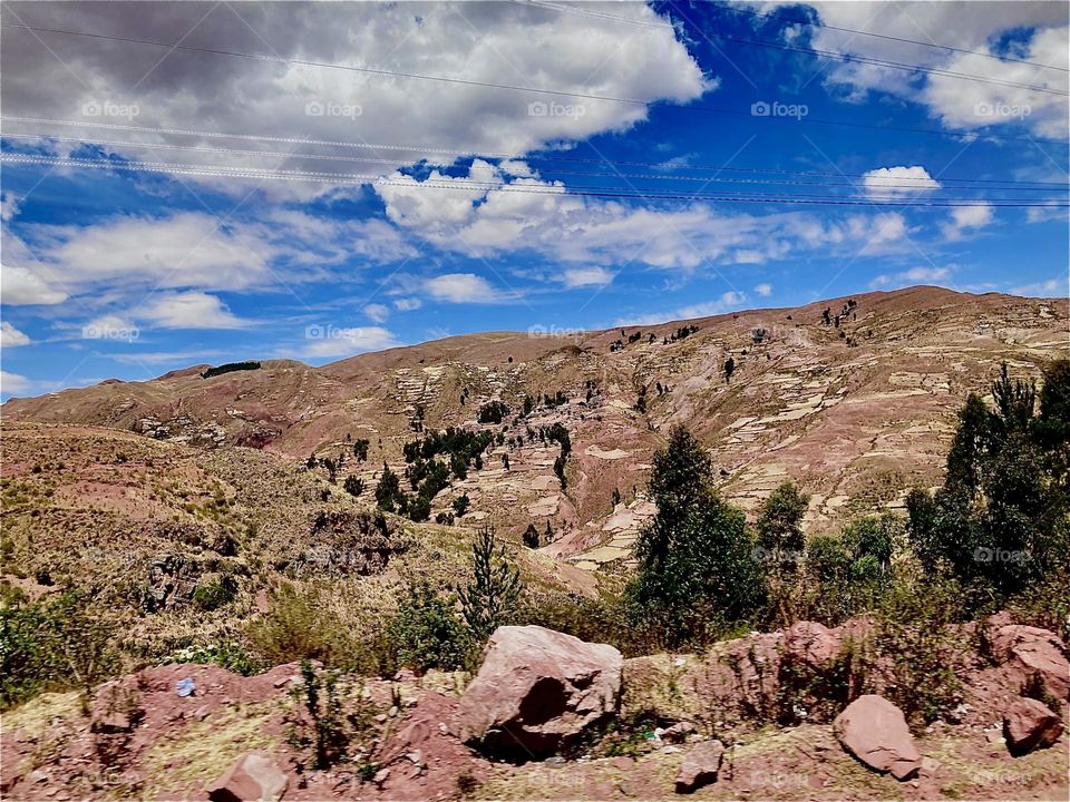 This dry rocky mountainous terrain in the vicinity of the famous “Uniyuni Salt Lake” in “Bolivia” in “Central America” will support only the hardiest of plants such as weeds, shrubs and a limited variety of trees. 2022. Hypnotic Productions