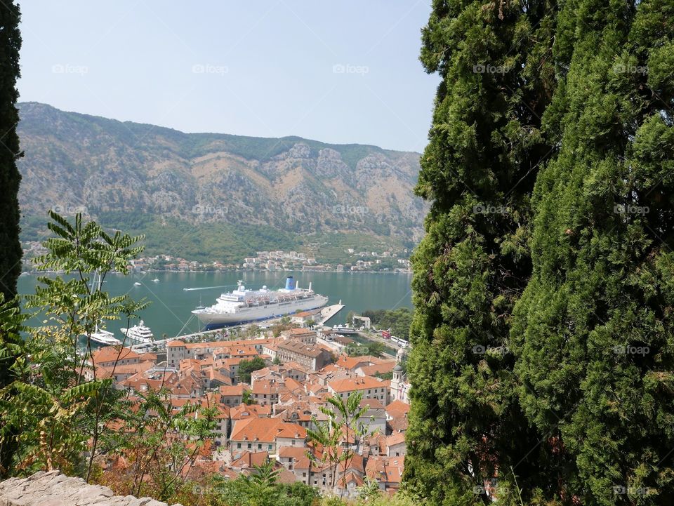 Kotor