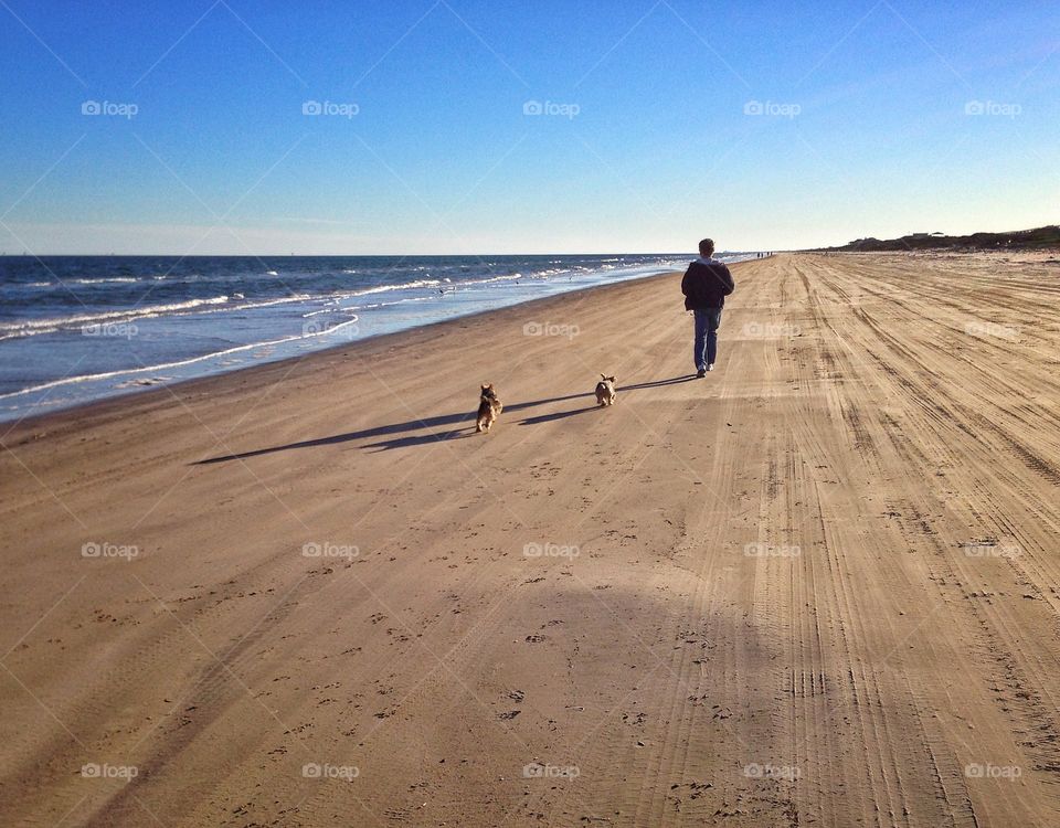 Man running with two dogs on the beach