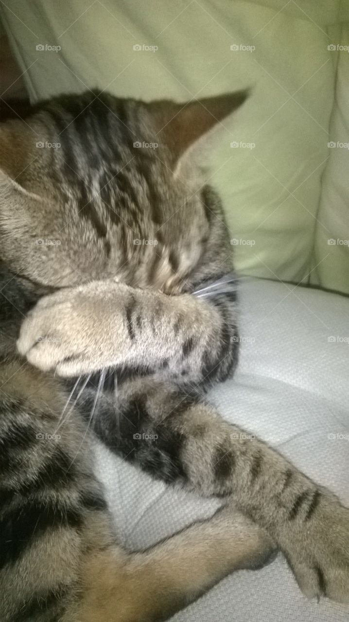 No photos, please