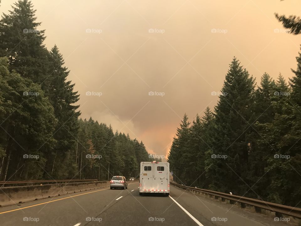 Eagle Creek Fire