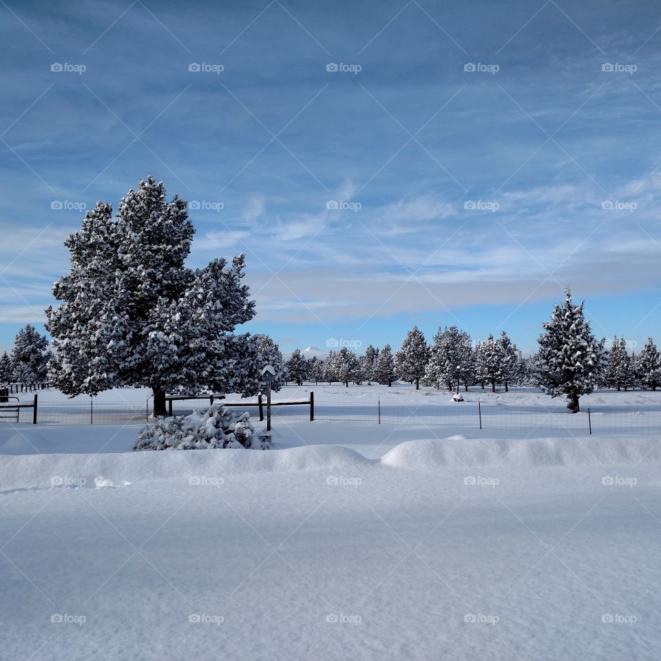 Snow Covered Farm Yard Central Oregon Mountains Redmond Terrebonne Crooked River Ranch