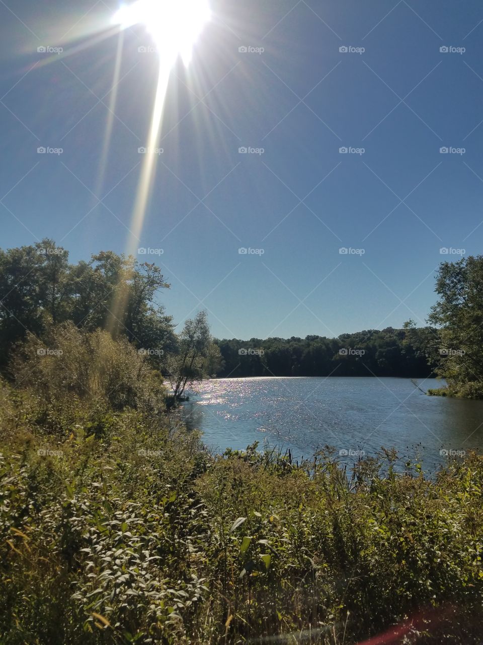 sunshine on the lake