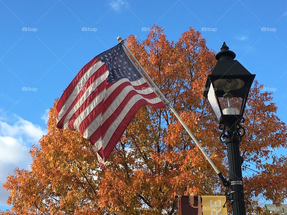 Patriotic Downtown