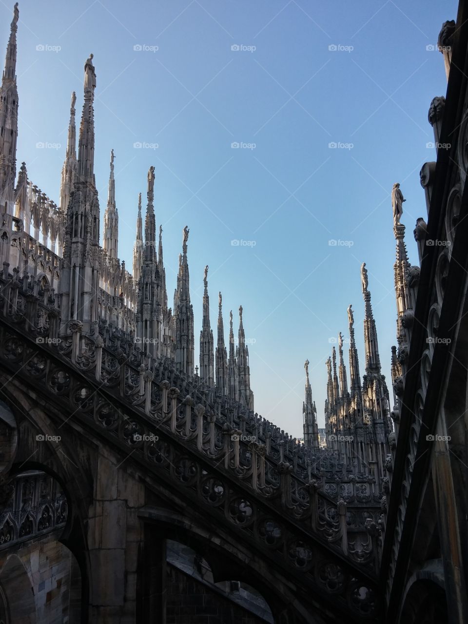guglie del Duomo
