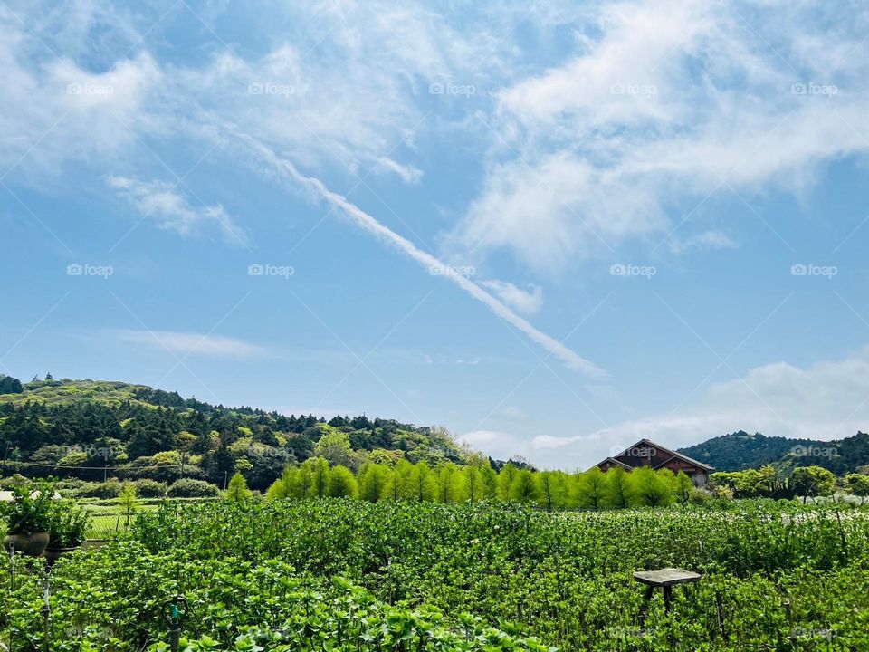 This photo has a refreshing natural style with a blue sky and scattered white clouds. The distant mountain scene of dark and light green trees is complemented by a white line, creating a beautiful and captivating painting-like image.