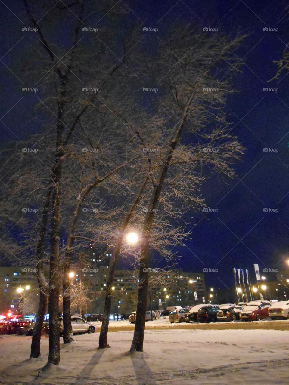 Winter, Street, Landscape, City, Snow