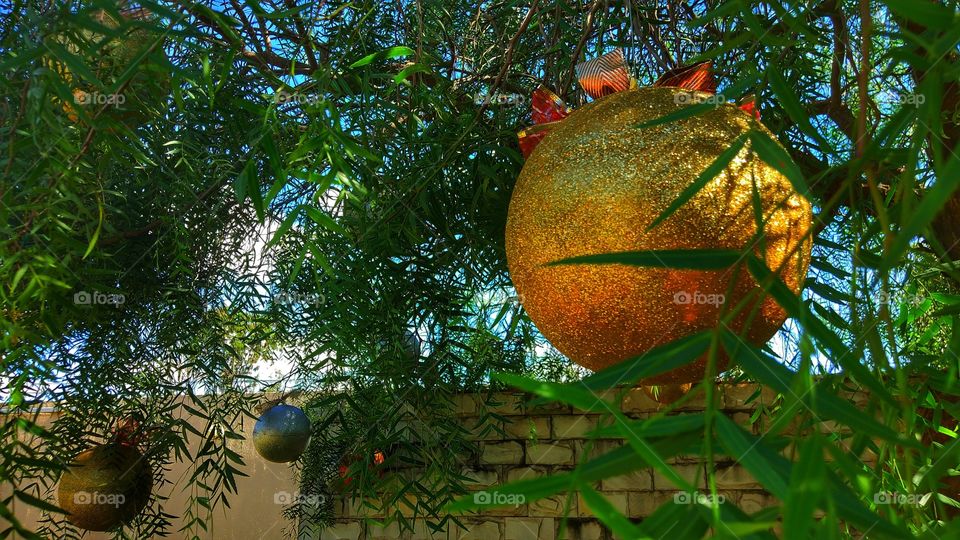 bolas de natal tree - Christmas balls