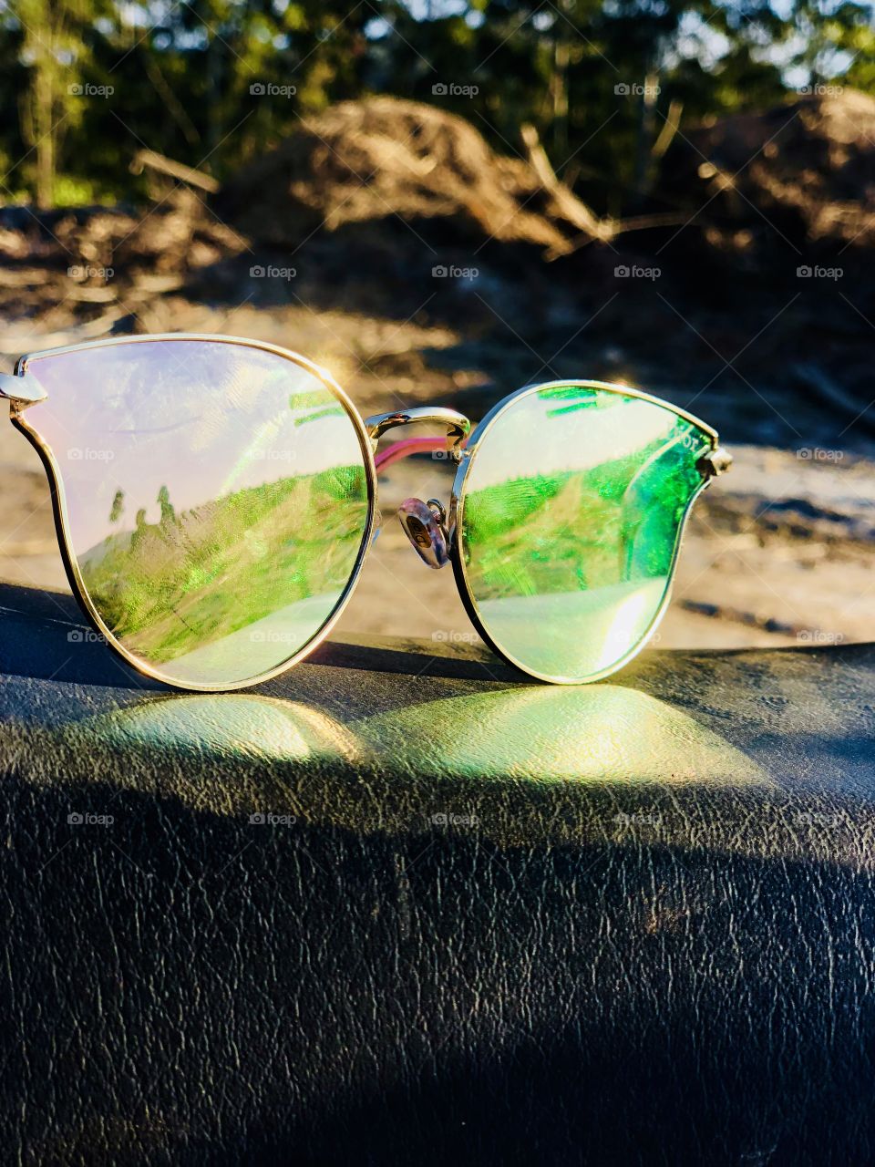 sunglasses and green field