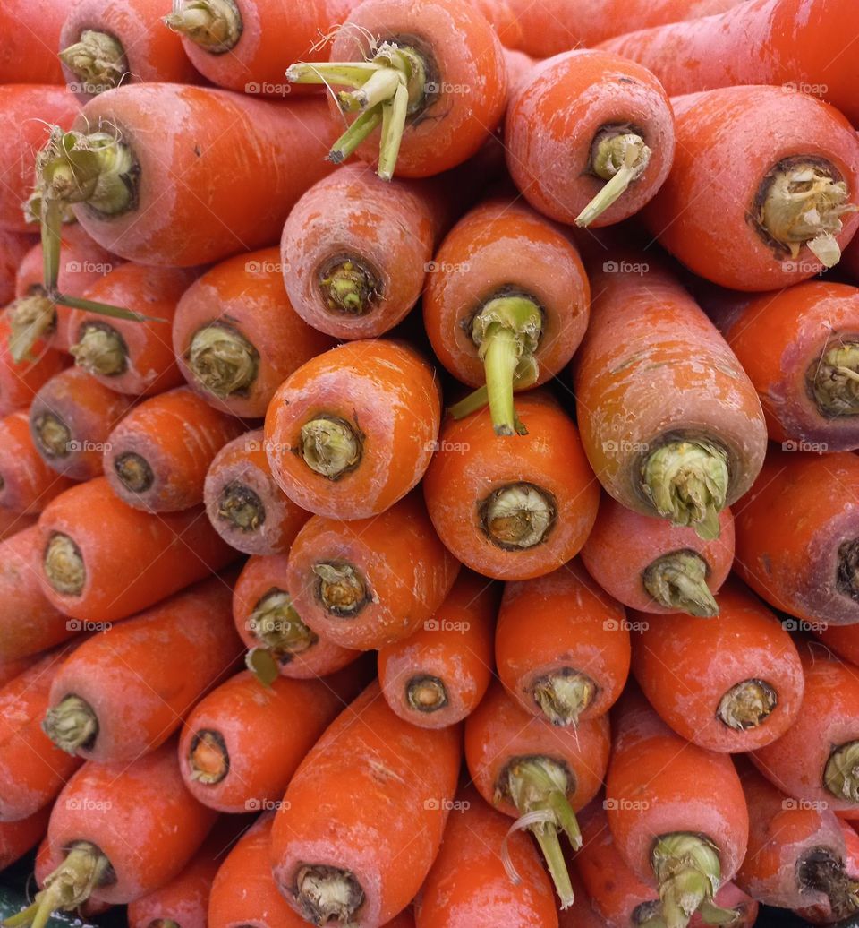 A cenoura é uma raiz nutritiva, saudável e, é considerada um alimento funcional, com vários benefícios para a saúde. Mantém a saude do intestino, protege a visão, regula o açucar no sangue. Rica em Vitamina A, contém Vitamina C, e fibras