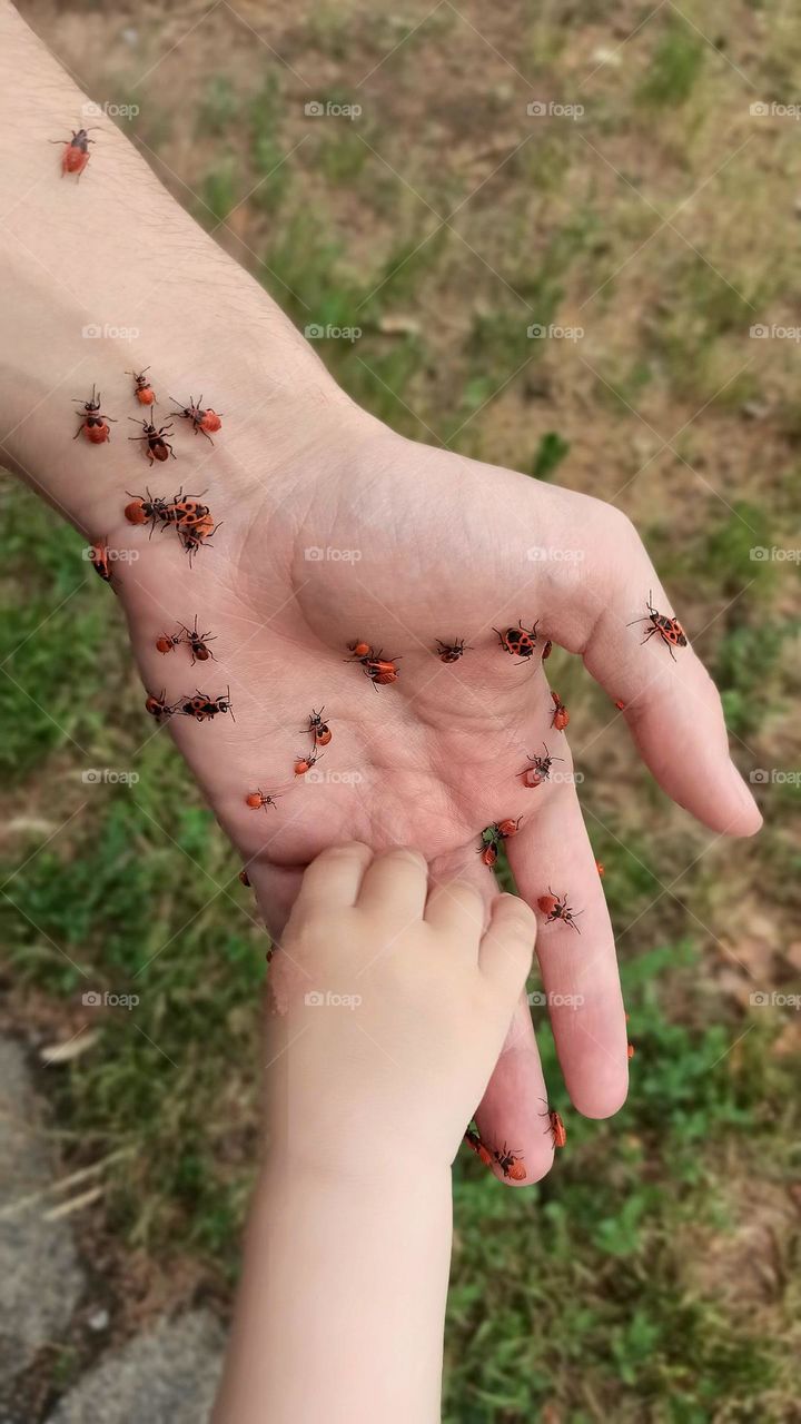 hand of dad and son