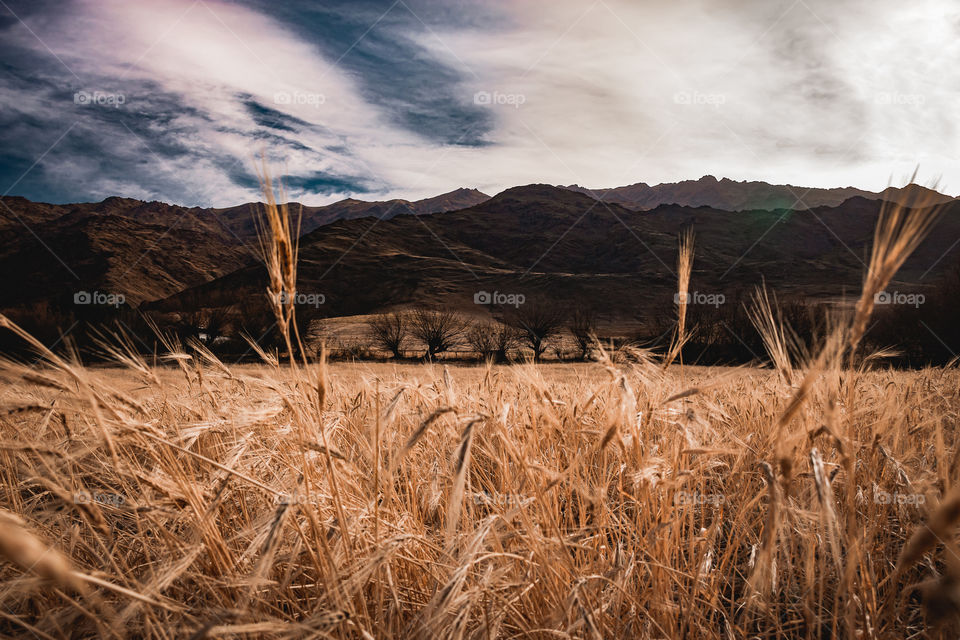 Tafí del Valle - Tucumán - Argentina 

Instagram @pamroblesspace