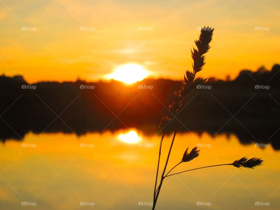 Sunset, Dawn, Sun, Silhouette, Evening