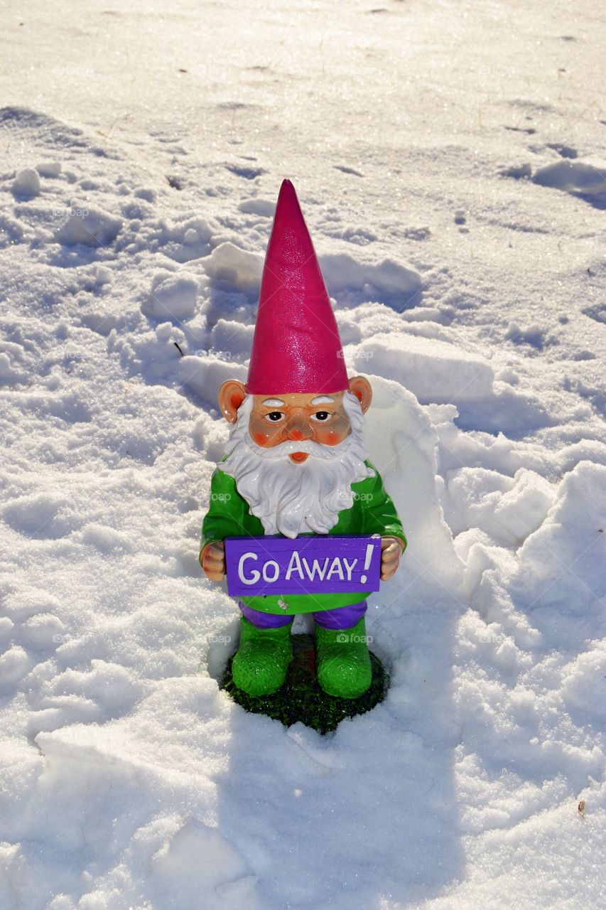 Hanging out in the snow