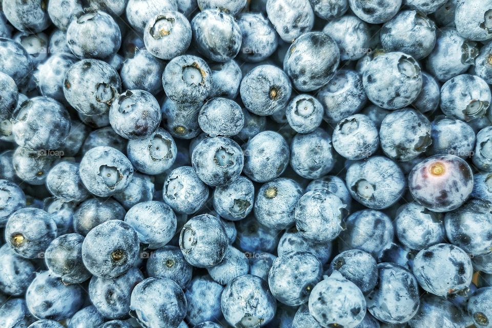Blueberry background