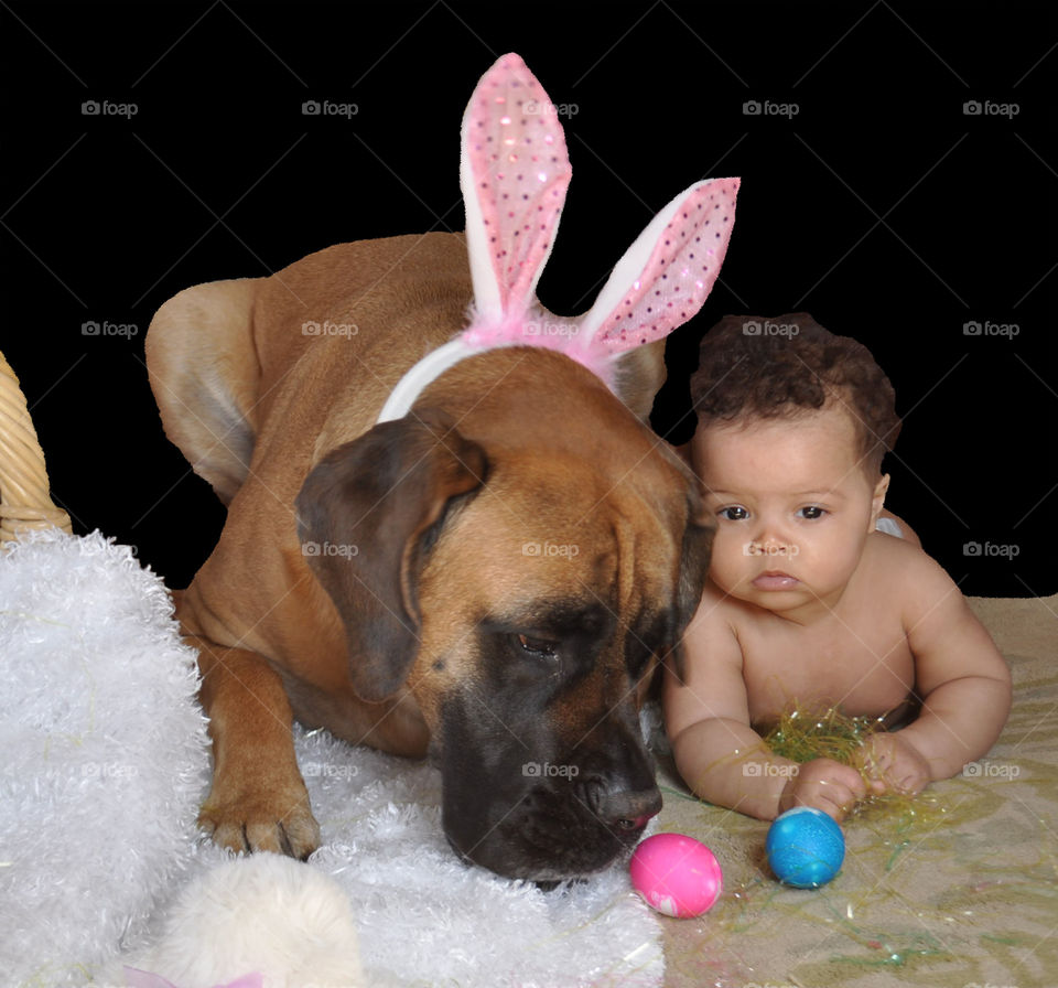 happy Easter. baby and dog pose for Easter pics