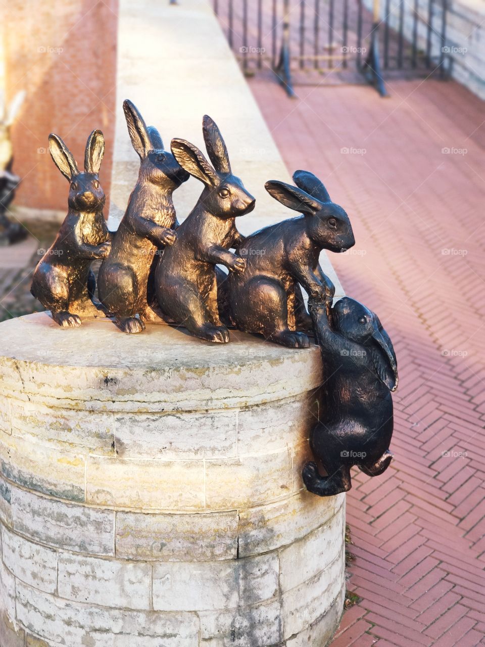 bronze bunnies