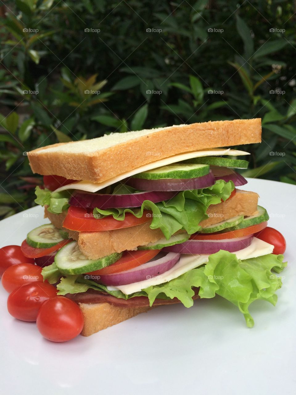 Sandwich 