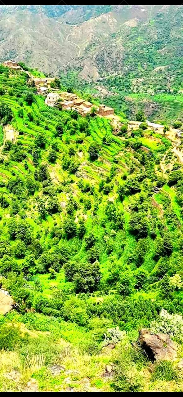 Glory be to God, the magnificent and picturesque view and the natural green trees are a view that is nothing more wonderful than it