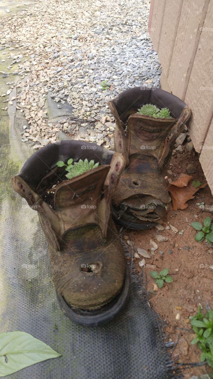 Old Amish shoe planters