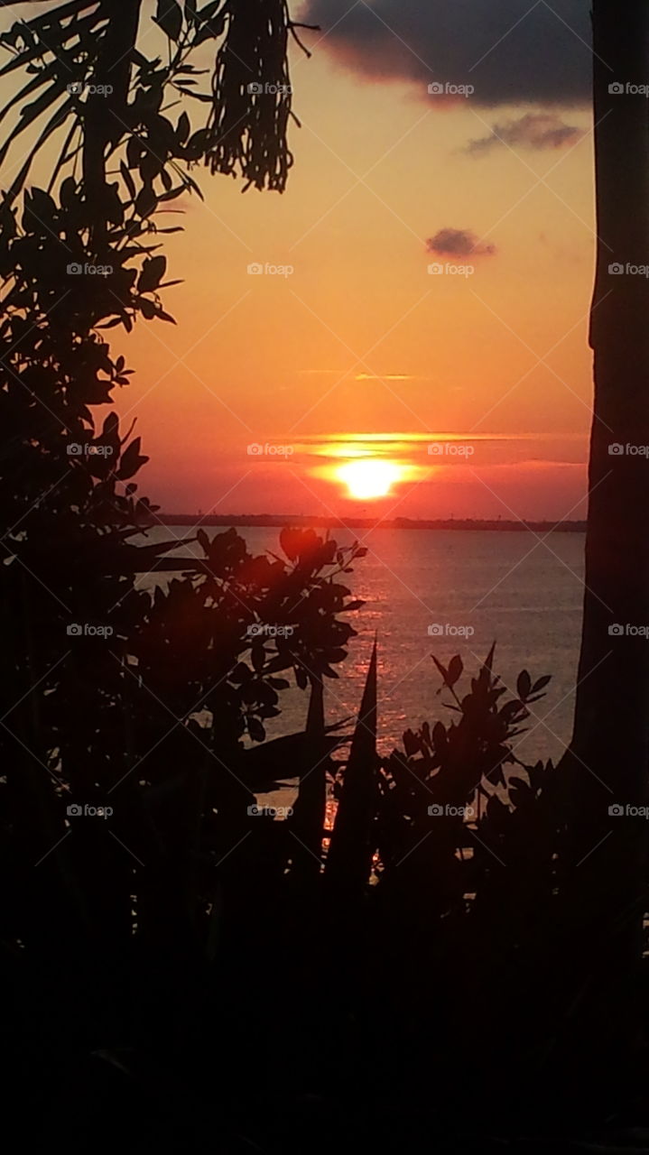 View of calm sea at sunset