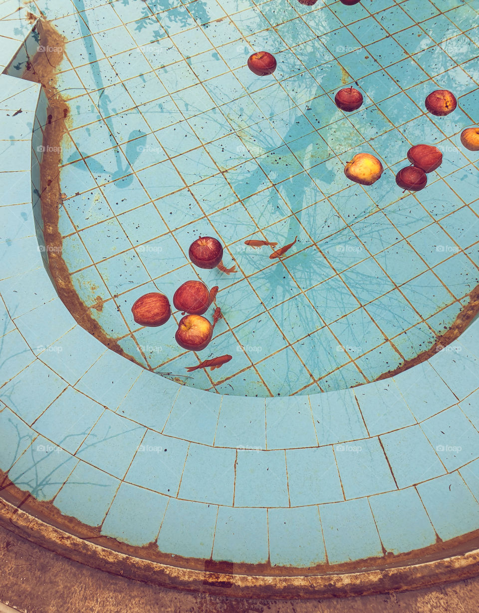 Red apples and fish floating in the water