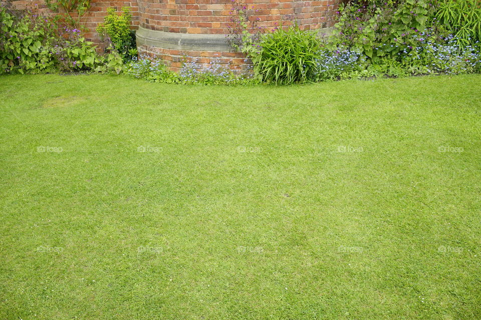 Lawn