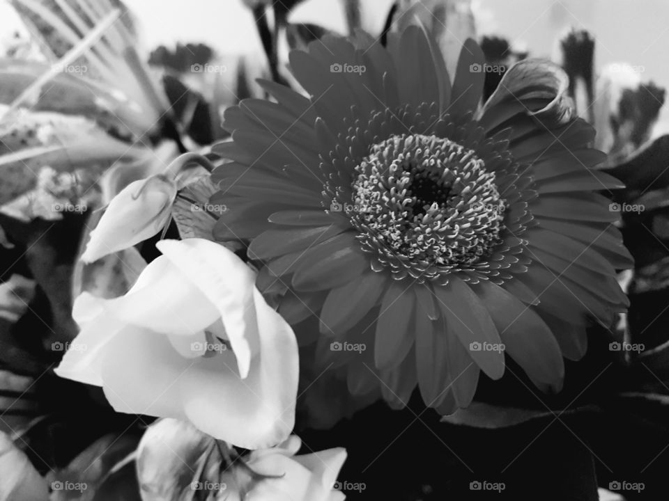 black and white bouquet
