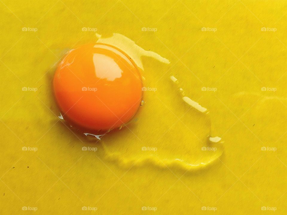 Yellow color. On a yellow background, a raw egg with a transparent protein and a yellow yolk.