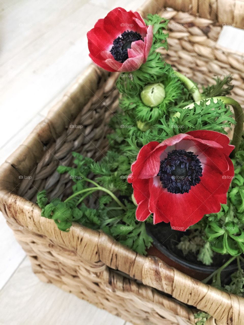 Red flowers in basket