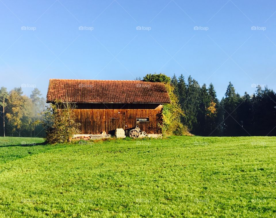 Swiss cabin