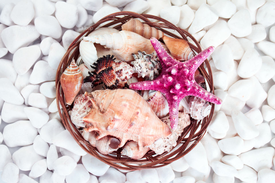 Basket with shells and starfish on the white stones