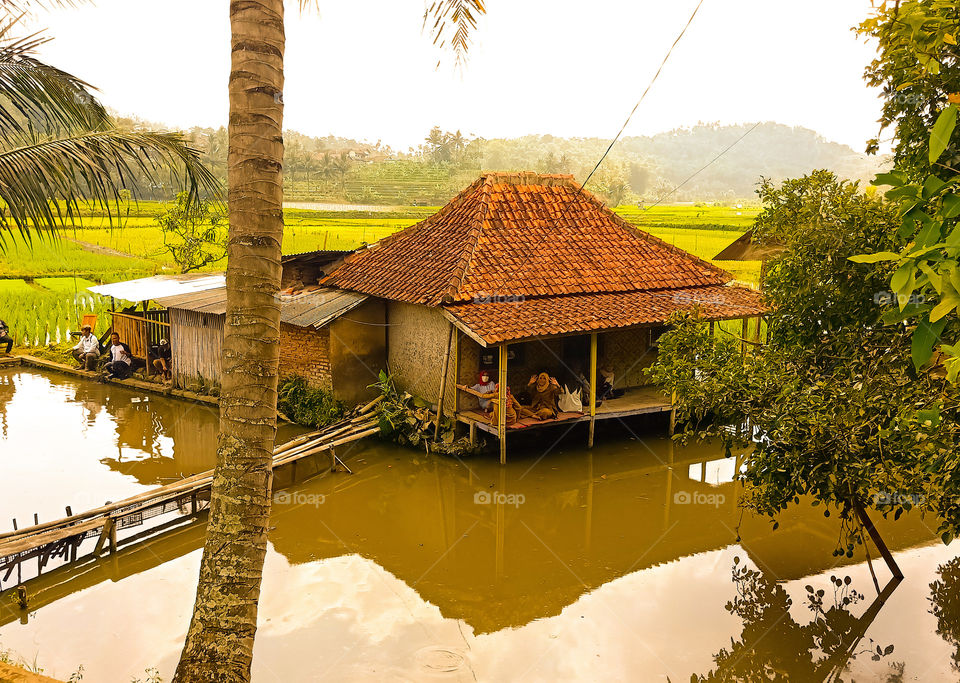 a house in the middle of rice field