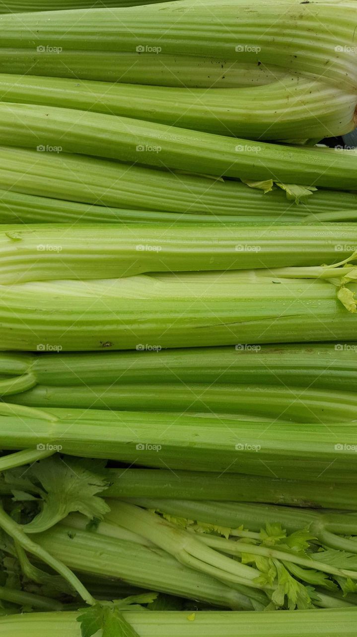 Green celery stalks lined up for sale