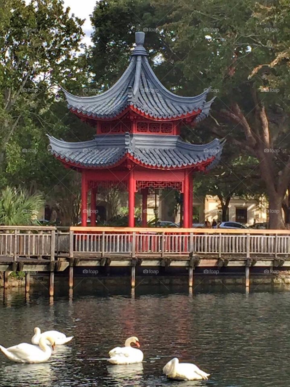The Chinese ting red pagoda pavilion at Lake Eola Park in downtown Orlando Florida with the city’s trademark swans swimming in the lake. A beautiful park in the middle of downtown Orlando. Perfect for a stroll or run, enjoy nature or entertainment