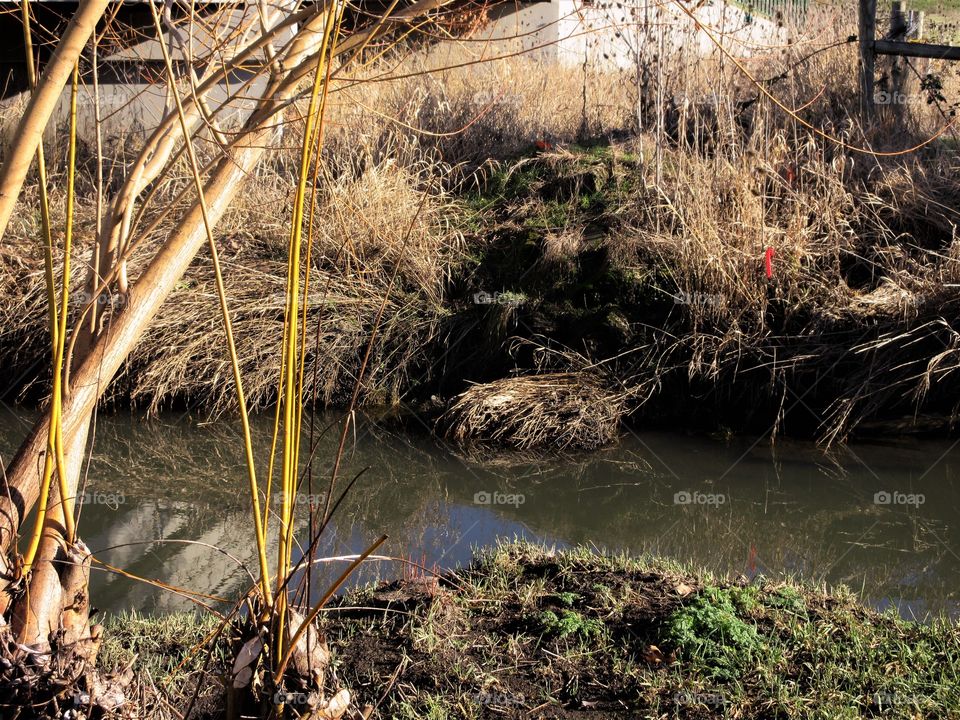 banks of creek