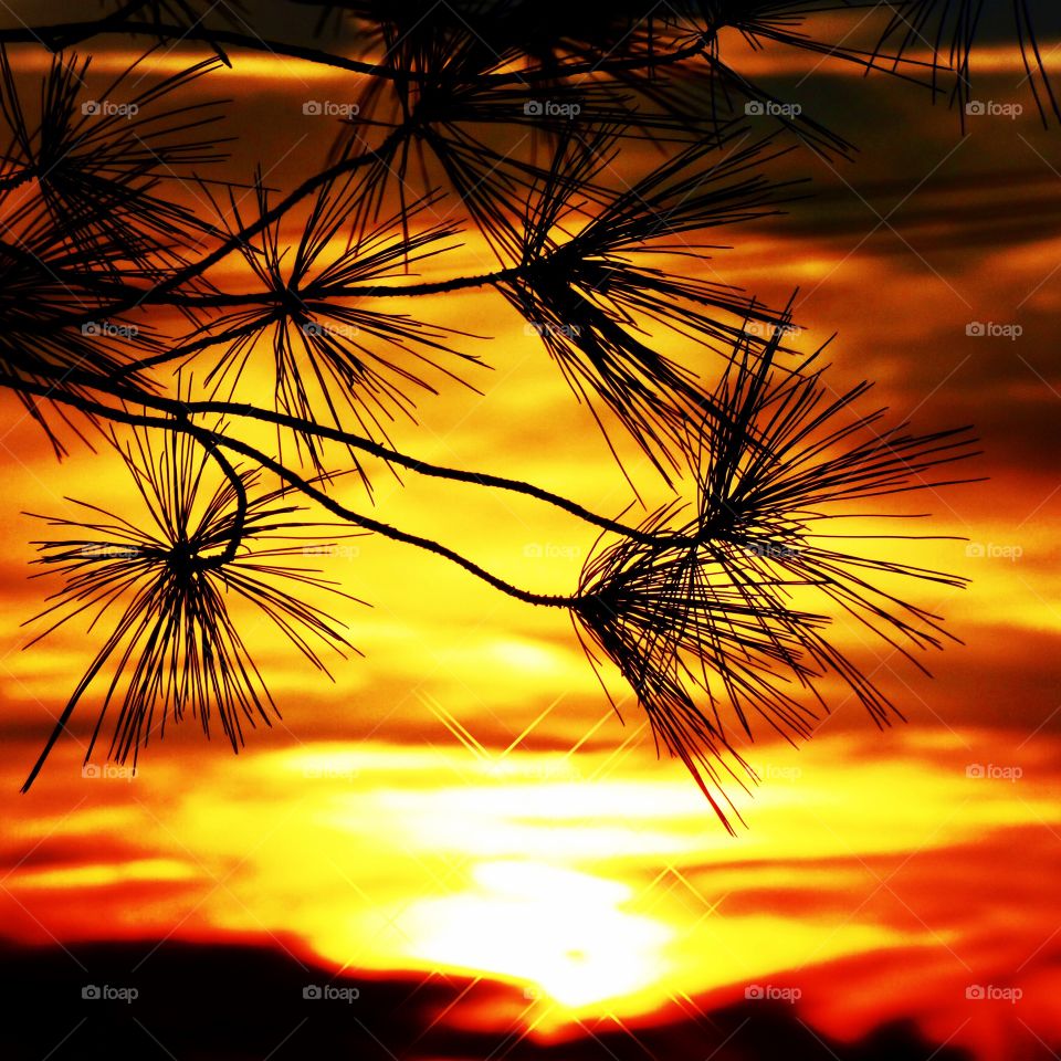 Beautiful view at sunset in Indiana. 