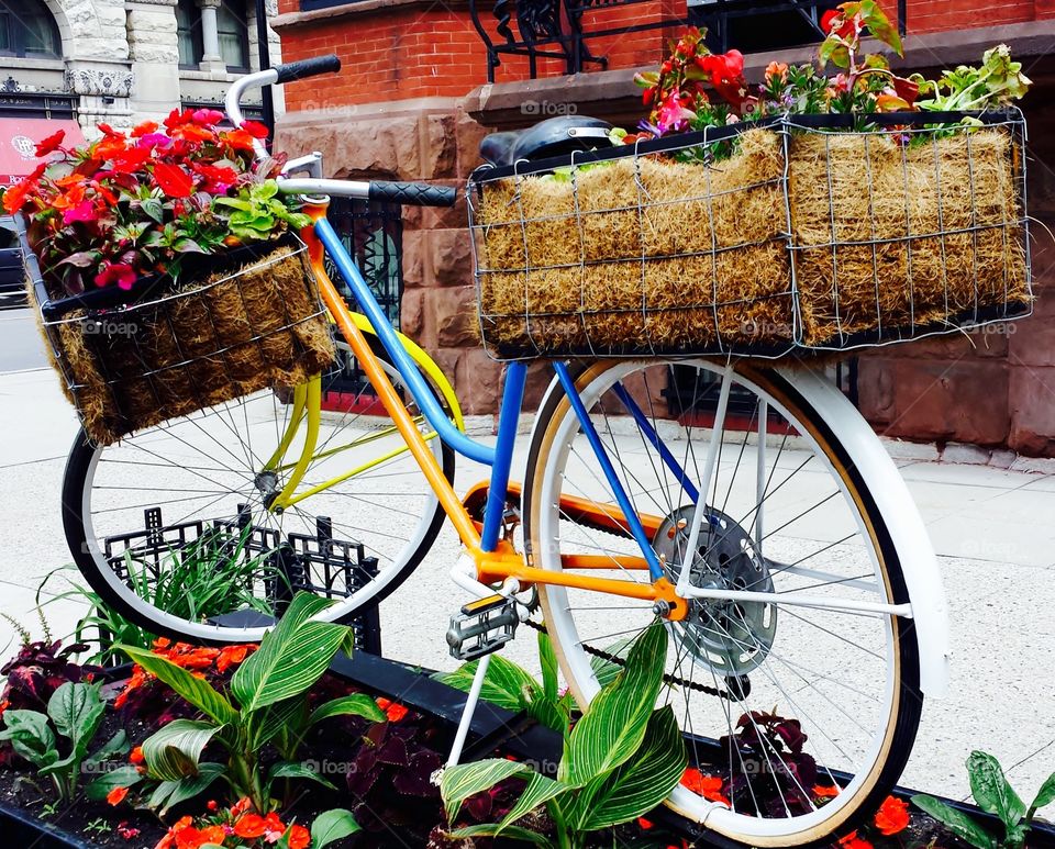 Bicycle. Flower Power