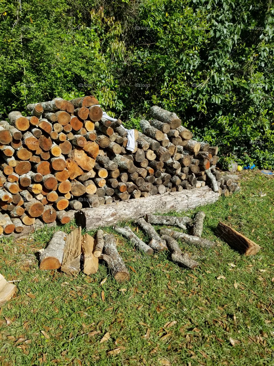 Stacked Wood Pile