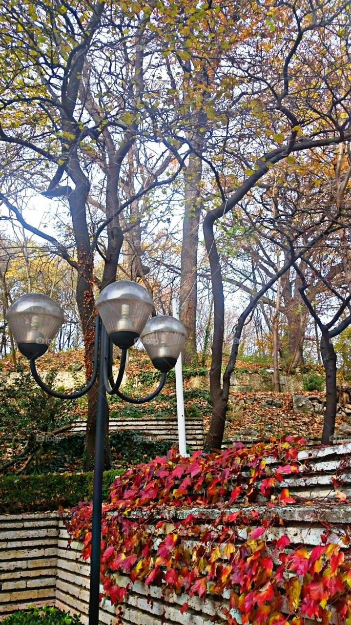 Light lamp in park