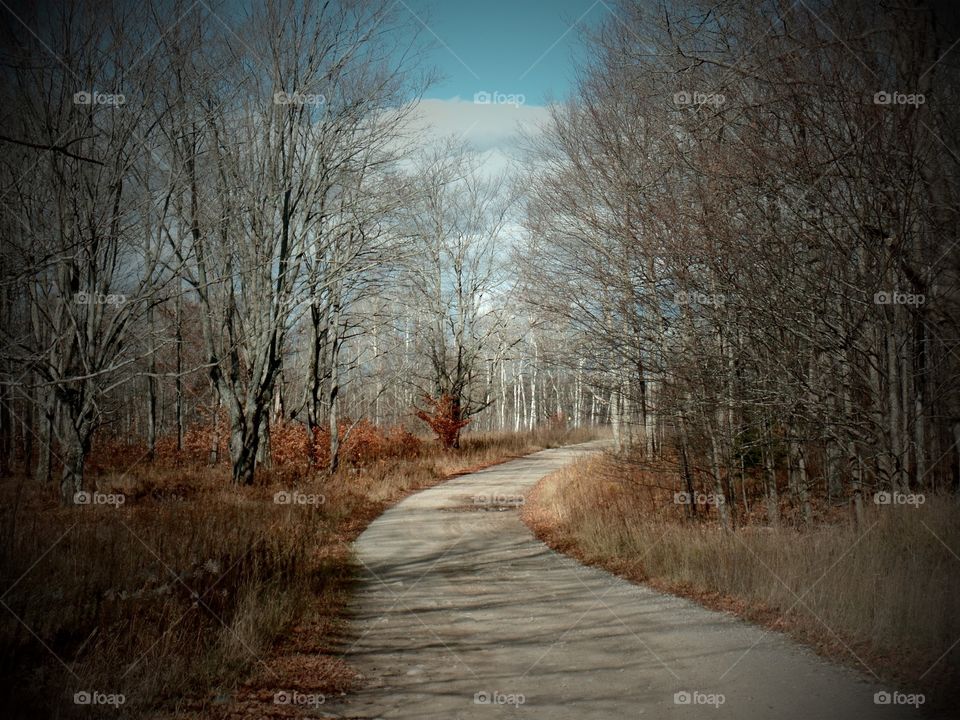 Drummond Island, Michigan 