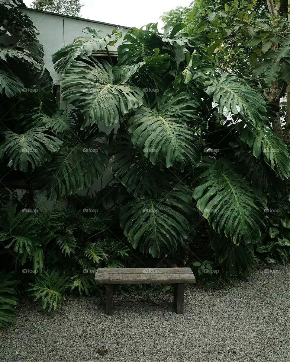 Glory be to God, the magnificent and picturesque view and the natural green trees are a view that is nothing more wonderful than it