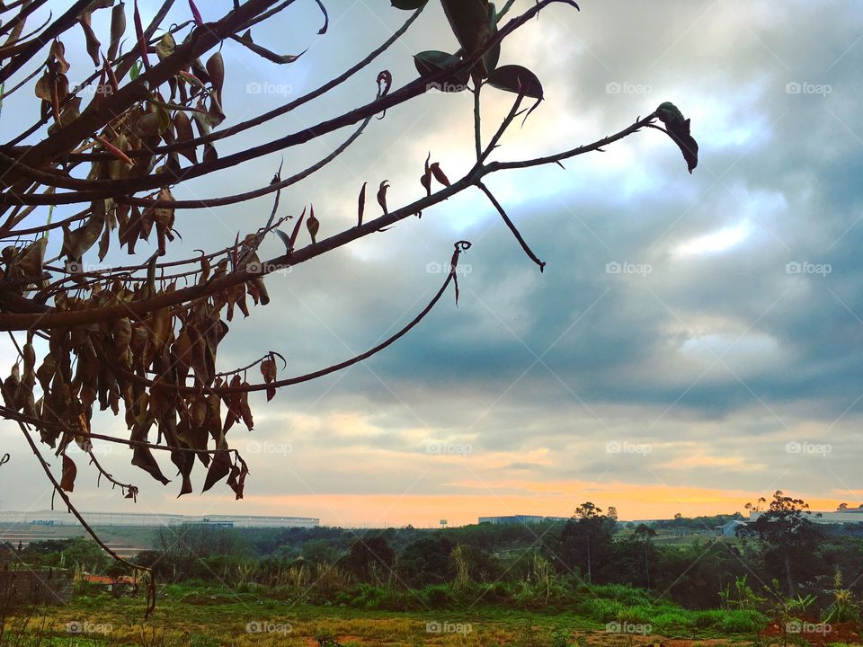 🌅Desperta, #Jundiaí!
Ótimo #domingo a todos.
🍃
#sol
#sun
#sky
#céu
#photo
#nature
#manhã
#morning
#alvorada
#natureza
#horizonte
#fotografia
#paisagem
#inspiração
#amanhecer
#mobgraphy
#FotografeiEmJundiaí